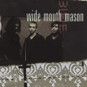 Wide Mouth Mason/Wide Mouth Mason [Lp] 1