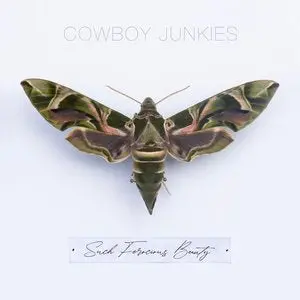 Cowboy Junkies/Such Ferocious Beauty [Lp] 1