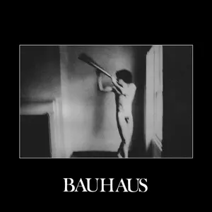Bauhaus/In The Flat Field [Cd] 1