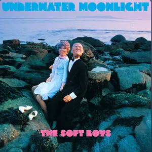 Soft Boys, The/Underwater Moonlight (45Th Anniversary Remaster) [Cd] 1