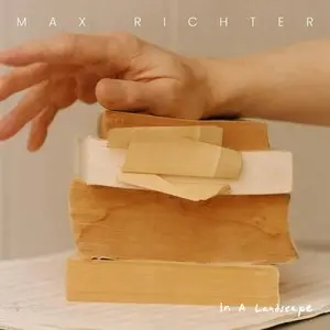 Richter, Max/In A Landscape [Cd] 1