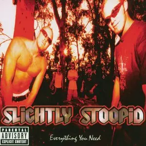 Slightly Stoopid/Everything You Need (Orange & Yellow Galaxy Vinyl) [Lp] 1