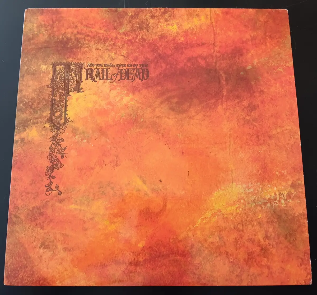 [Used Lp] ...And You Will Know Us By The Trail Of Dead / Source Tags & Codes 1