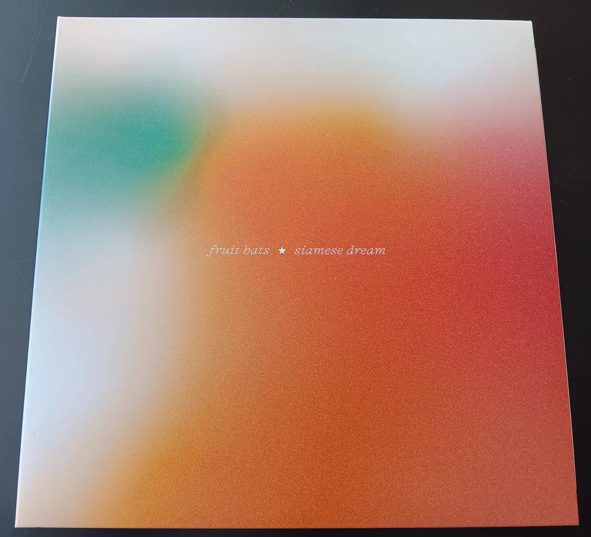 [Used Lp] Fruit Bats / Siamese Dream 1