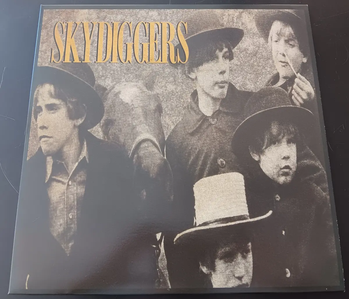 [Used Lp] Skydiggers / Skydiggers 1