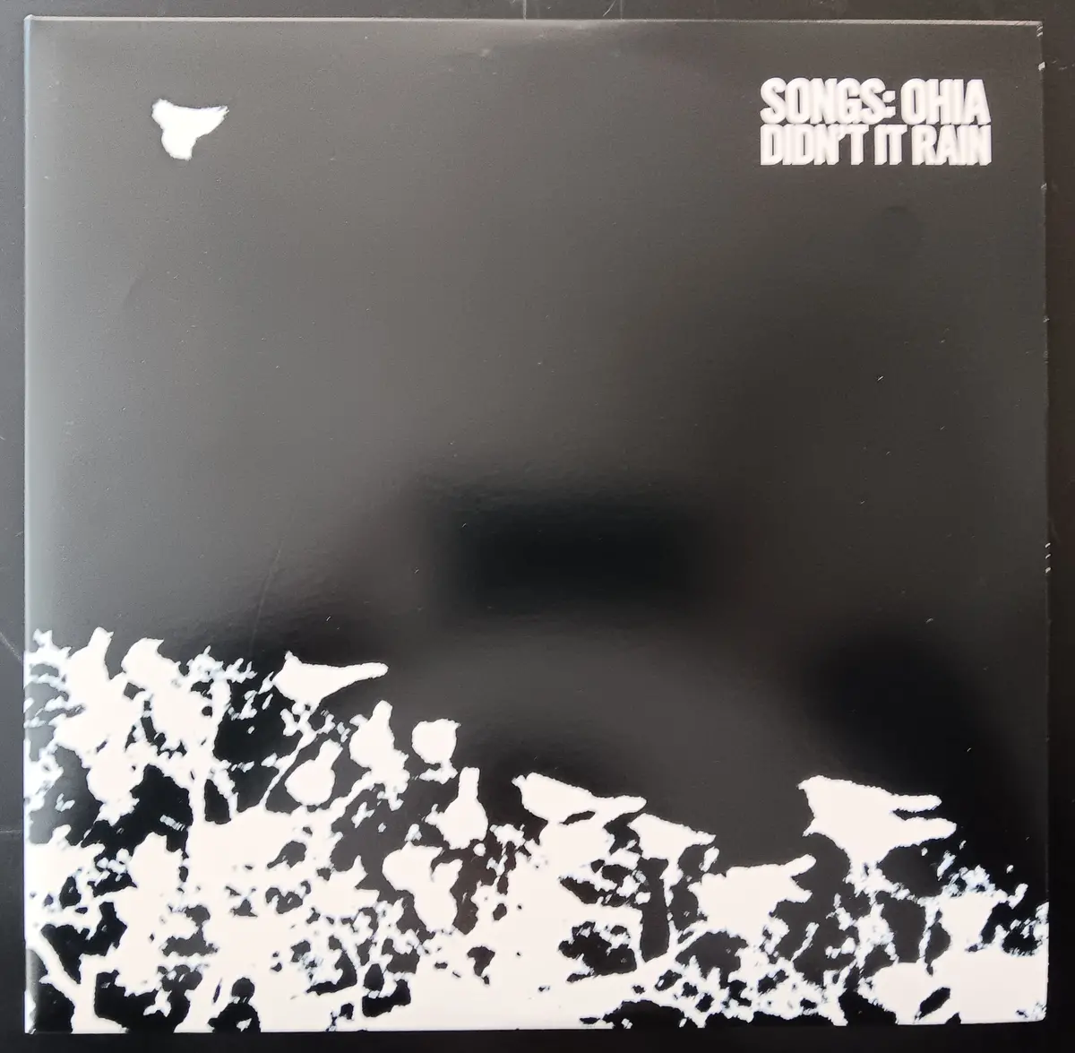 [Used Lp] Songs: Ohia / Didn't It Rain 1