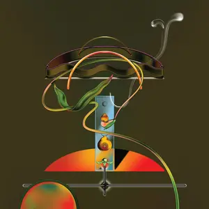 Wand/Spiders In The Rain [Lp] 1