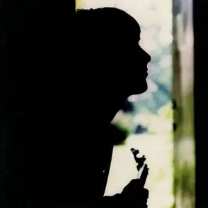 Weller, Paul/Wild Wood [Lp] 1