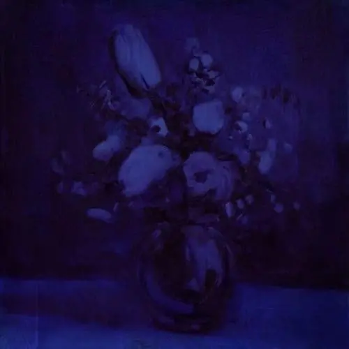Deaf Wish/Lithium Zion [Lp] 1