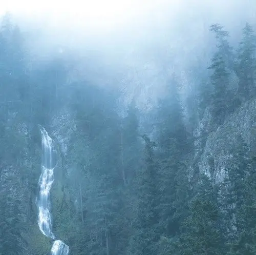 Wolves In The Throne Room/Diadem Of 12 Stars [Lp] 1