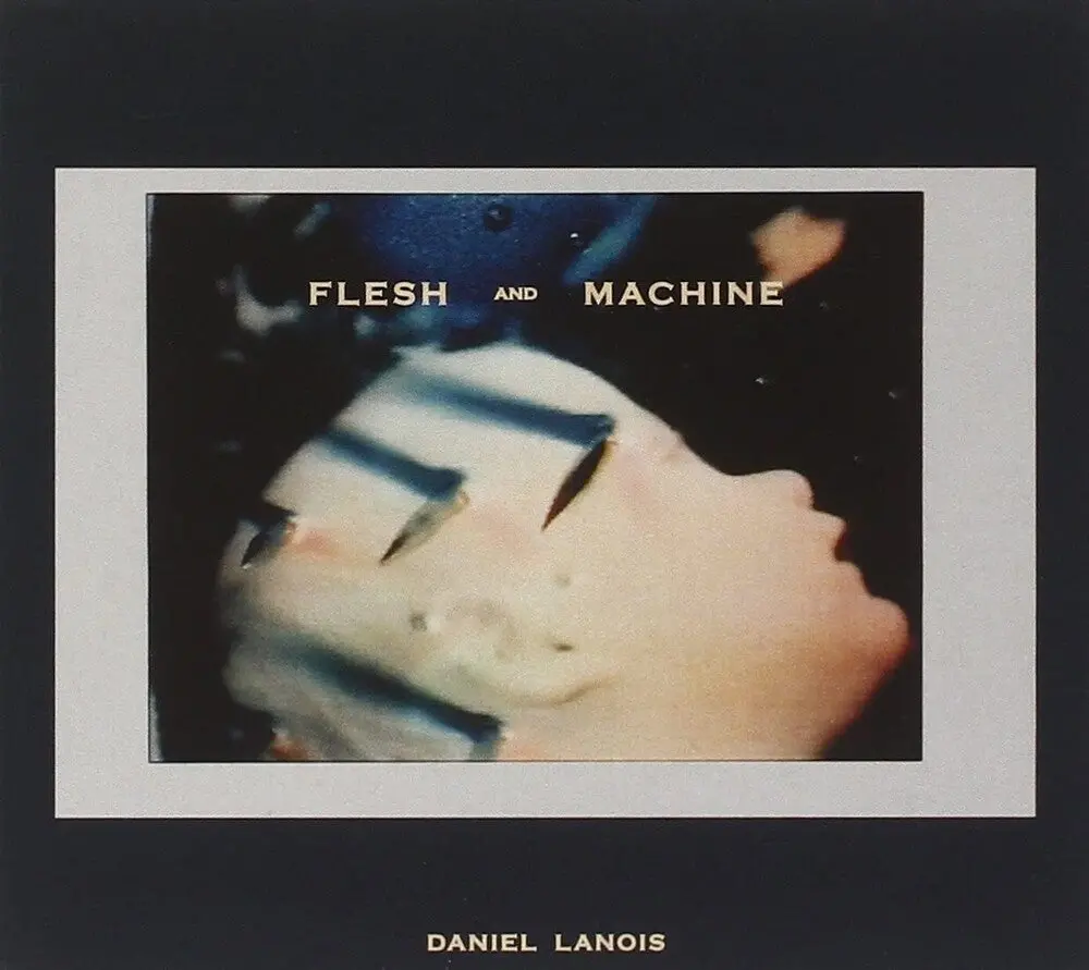 Lanois, Daniel/Flesh And Machine [Lp] 1