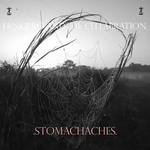 Frnkiero And The Cellabration/Stomachaches [Lp] 1
