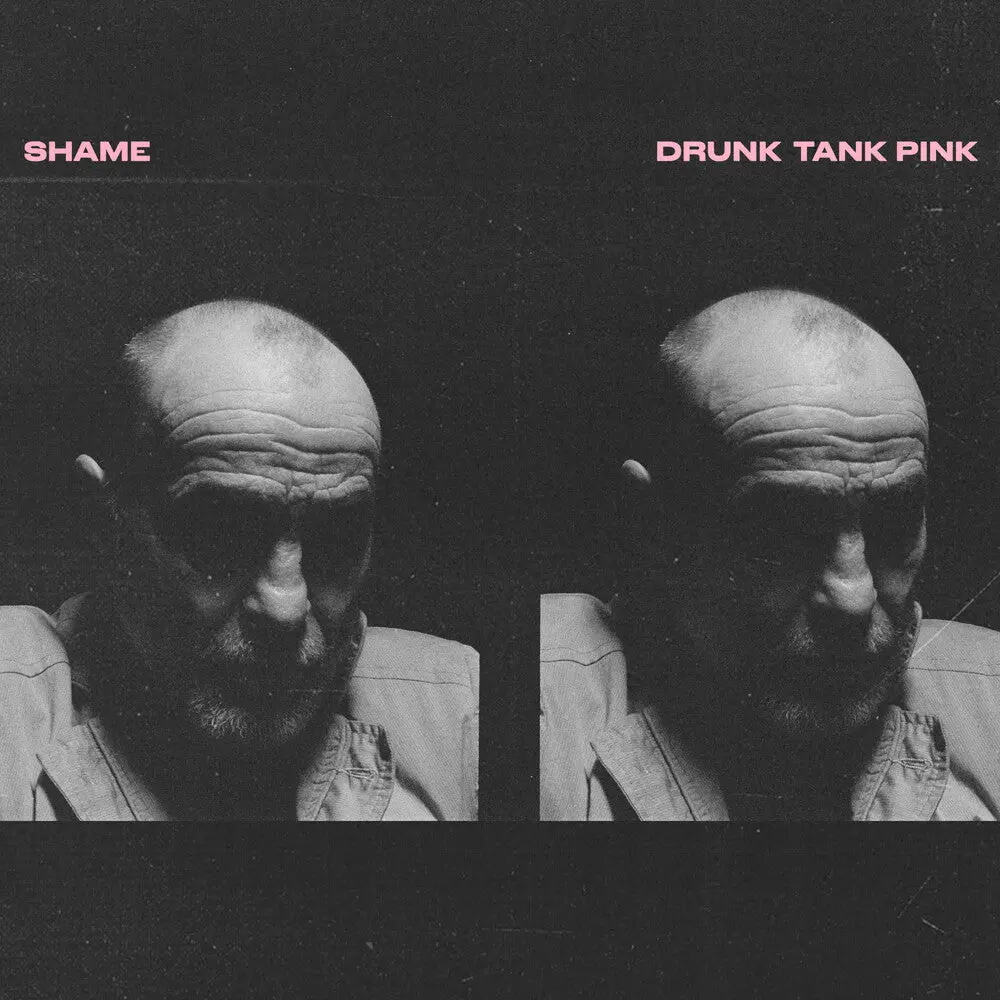 Shame/Drunk Tank Pink [Lp] 1
