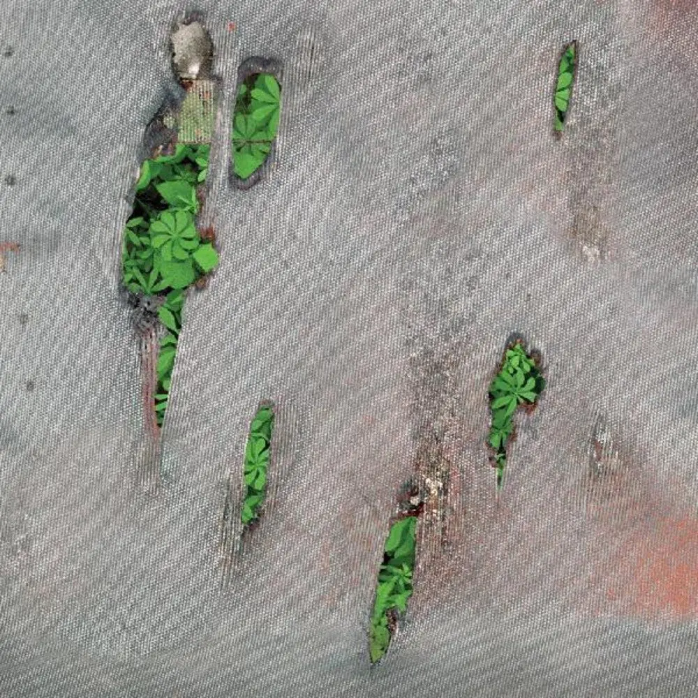 Koreless/Agor [Lp] 1