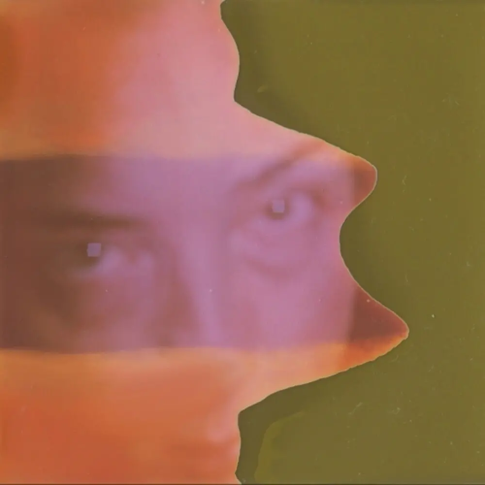 Grouper/Shade [Lp] 1