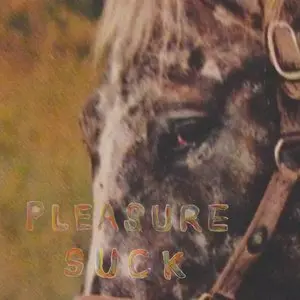 Spirit Of The Beehive/Pleasure Suck (Orange Vinyl) [Lp] 1