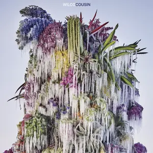 Wilco/Cousin [Lp] 1