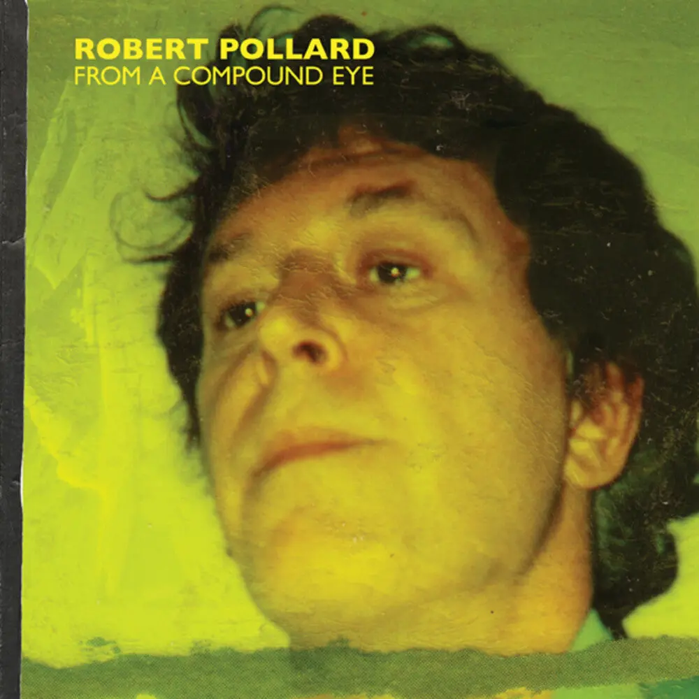 Pollard, Robert/From A Compound Eye [Lp] 1