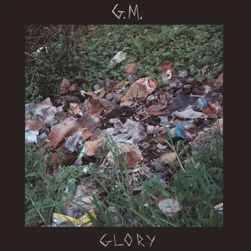 Good Morning/Glory (Brown Vinyl) [Lp] 1