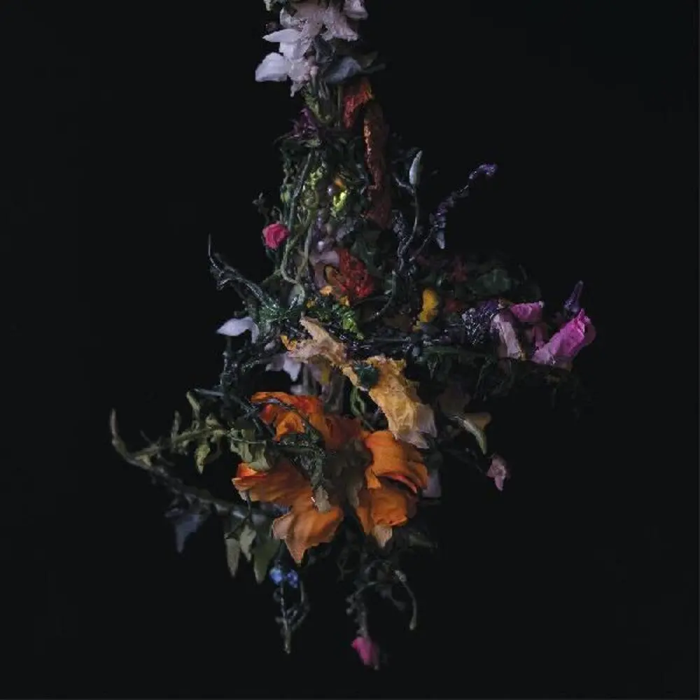 Big / Brave/Nature Morte [Lp] 1