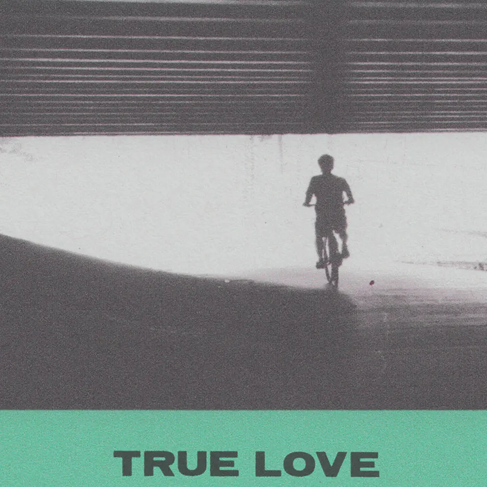 Hovvdy/True Love [Lp] 1