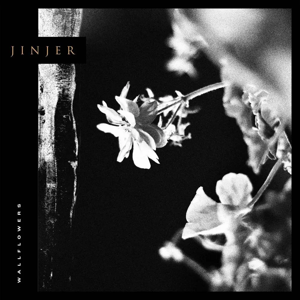 Jinjer/Wallflowers [Lp] 1