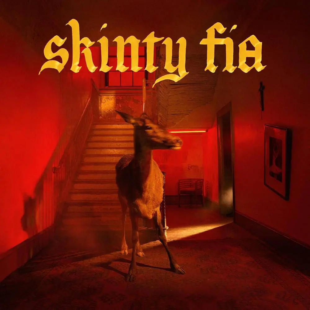 Fontaines D.C./Skinty Fia [Vinyl] 1