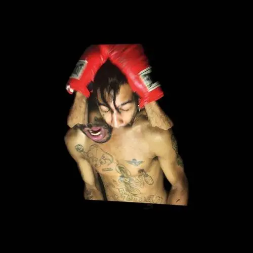 Velvet Negroni/Bulli (Vmp Transparent Red Vinyl) [Lp] 1