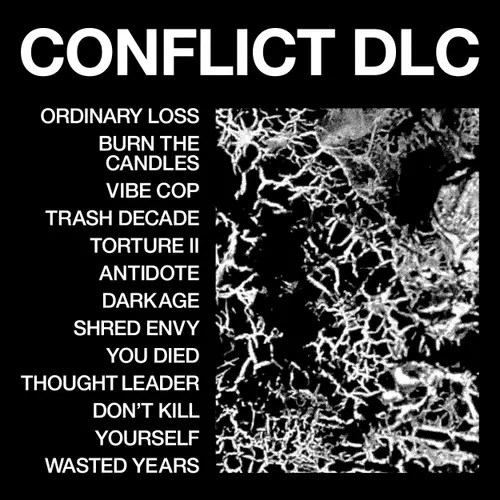 Health/Conflict Dlc [Cd] 1