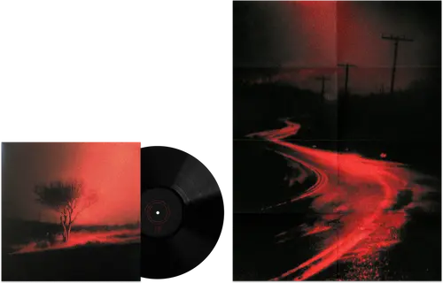 Joji/Piss In The Wind (Black Vinyl) [Lp] 1