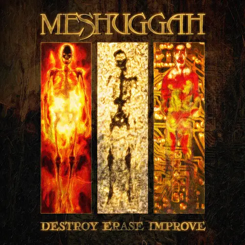 Meshuggah/Destroy Erase Improve (30Th Anniversary Sunflare Limited Vinyl) [Lp] 1