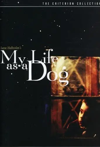 My Life As A Dog [Dvd] 1
