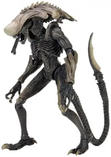 Neca/Alien Vs Predator: Chrysalis Alien [Toy] 1