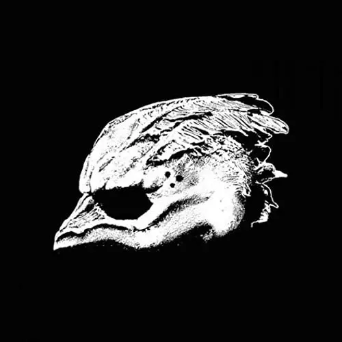 Legend Of The Seagullmen/Legend Of The Seagullmen [Lp] 1