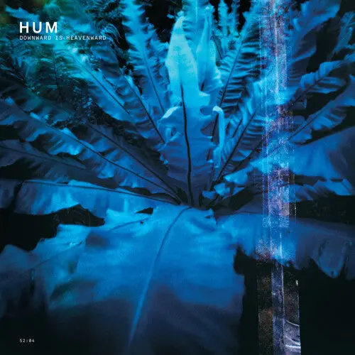 Hum/Downward Is Heavenward [Lp] 1