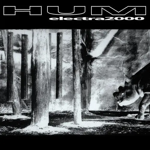 Hum/Electra 2000 [Lp] 1