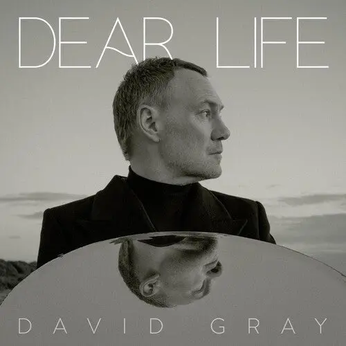 Gray, David/Dear Life (Seaweed Green Vinyl) [Lp] 1
