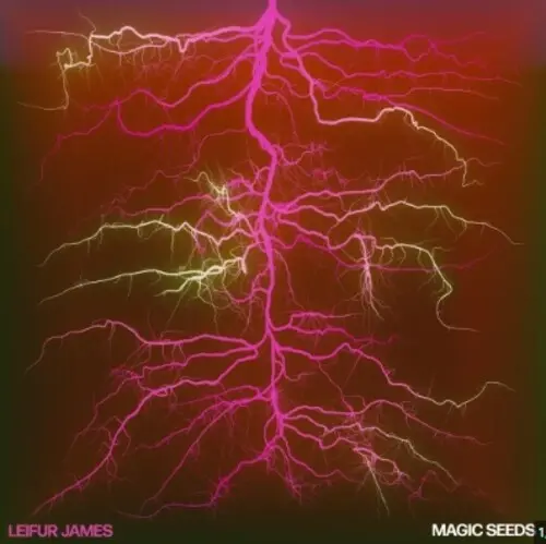 James, Leifur/Magic Seeds [Lp] 1