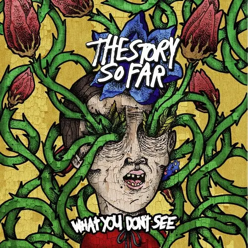 The Story So Far/What You Don't See [Lp] 1