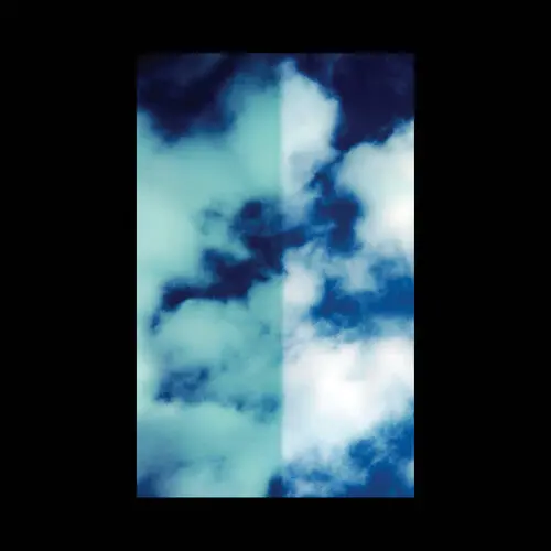 Joni Void/Every Life Is A Light [Lp] 1