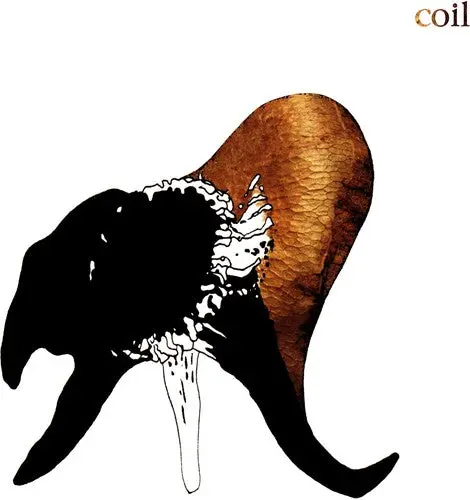 Coil/Black Antlers [Cd] 1