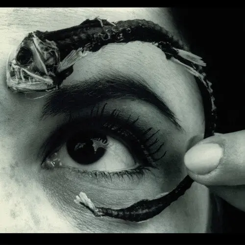 Mr. Bungle/Disco Volante (Translucent Light Blue Vinyl) [Lp] 1