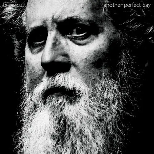 Orcutt, Bill/Another Perfect Day [Cd] 1