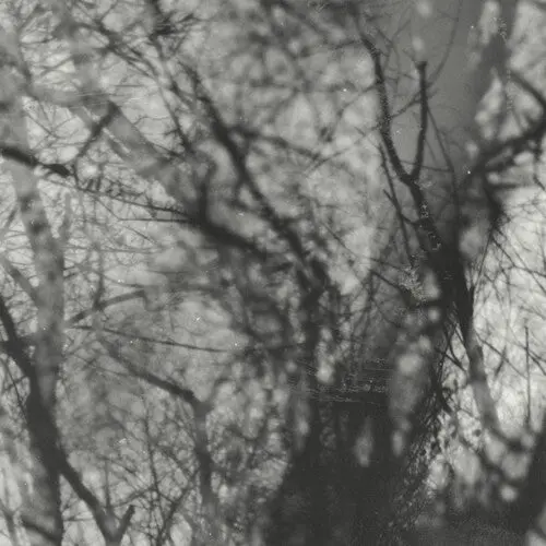 Grouper/Way Their Crept [Lp] 1
