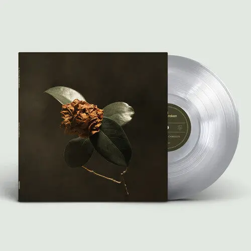 St. Paul & The Broken Bones/Young Sick Camellia [Lp] 1