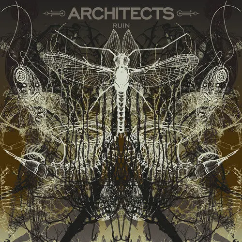 Architects/Ruin (Limited Picture Disc) [Lp] 1