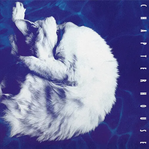 Chapterhouse/Whirlpool (White / Black Vinyl) [Lp] 1