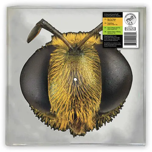 King Gizzard & The Lizard Wizard/Big Fig Wasp (Bee Shaped Picture Disc) [Lp] 1