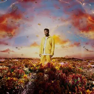 Amadi, Nonso/When It Blooms [Lp] 1