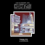 Led Zeppelin/Live At Madison Square Garden July 1973 (Coloured Vinyl) [Lp] 1